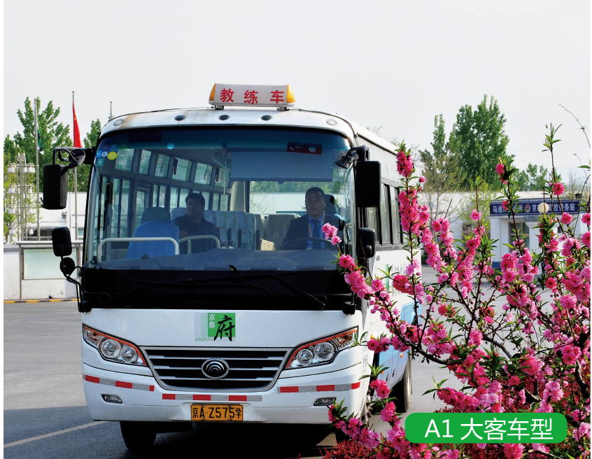 大客車駕照A1本