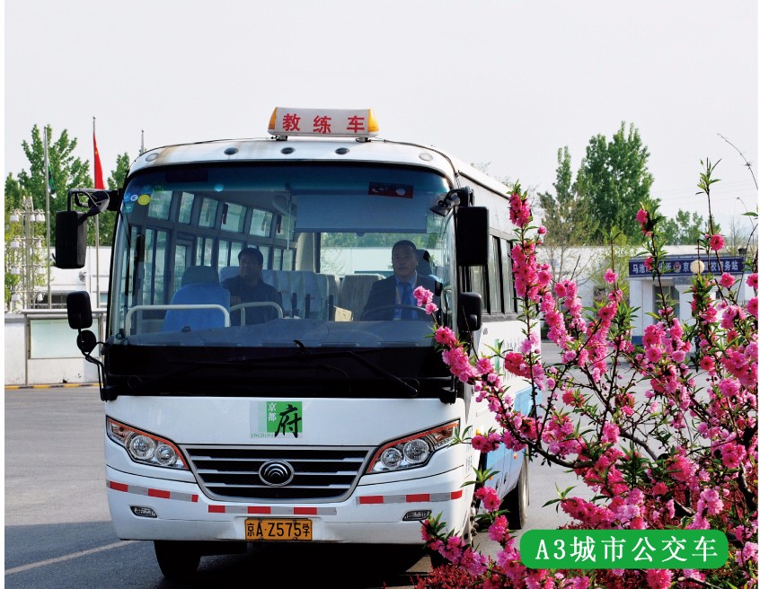 城市公交駕照A3本 城市公交駕照A3本