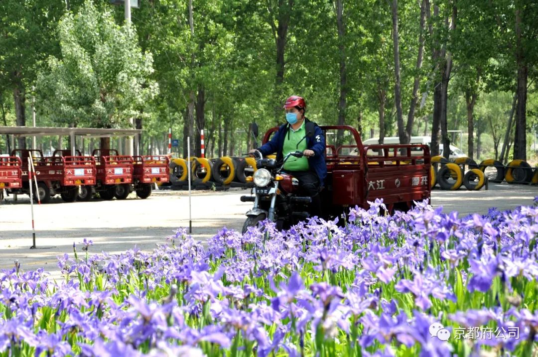 京都府駕校 京都府駕校